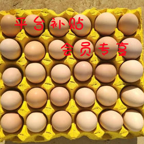精选鲜鸡蛋 30枚/约1850g(净) 标准纸托装 大型鸡场直供