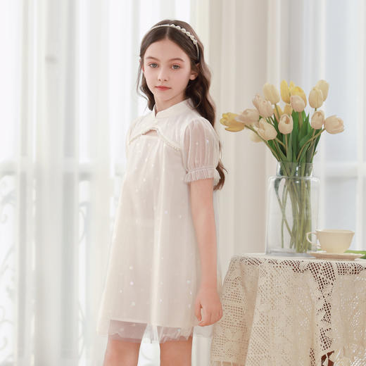 女童连衣裙2024夏季新款儿童新中式国风公主裙小女孩泡泡袖裙子 商品图2