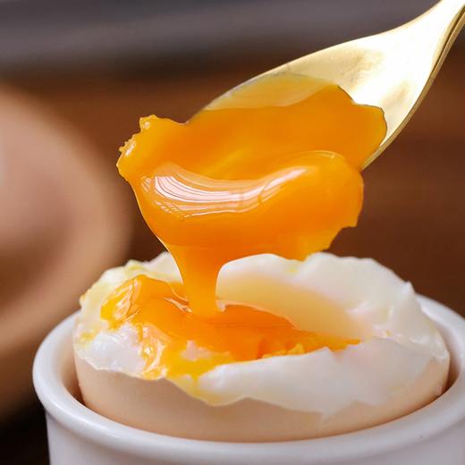 柴鸡蛋30枚/约1850g(净重/不含托)-超市分销款 商品图7