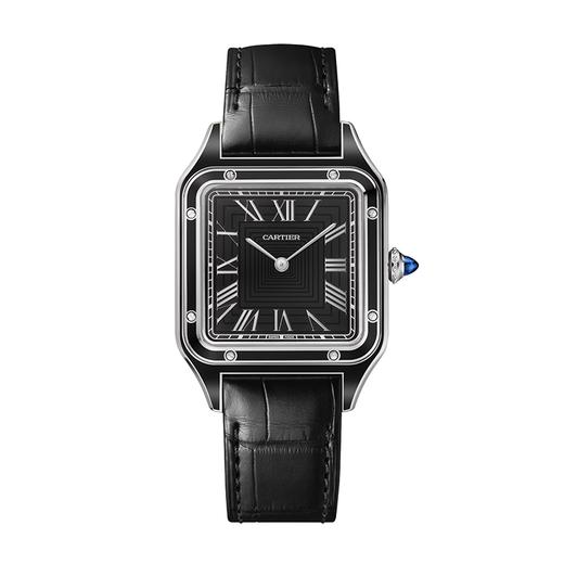 卡地亚WSSA0046 商品图0