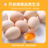 精选鲜鸡蛋 30枚/约1850g(净) 标准纸托装 大型鸡场直供 商品缩略图1