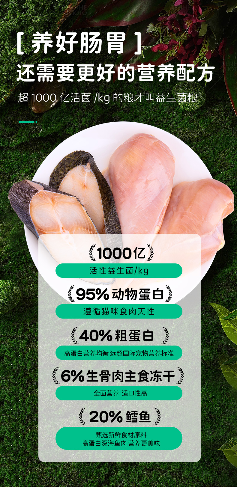 图片下载失败