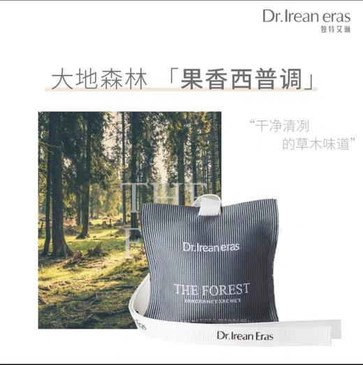Dearlrean独特艾琳车载香薰包(多香型可选) 商品图3