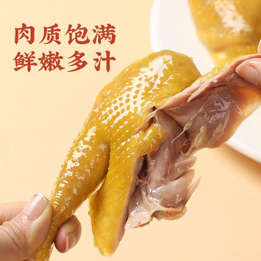 真莊 真庄广东梅州客家特产盐焗鸡整只土鸡熟食即食下酒菜真空鸡翅膀 630g 1袋 【盐焗土鸡】 商品图1