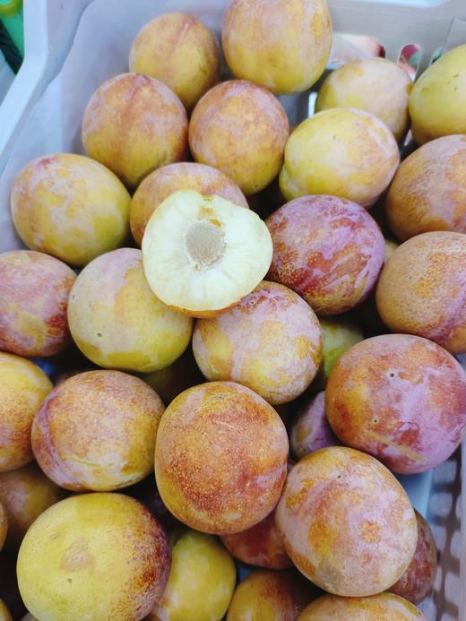 大红袍李子3斤 商品图2