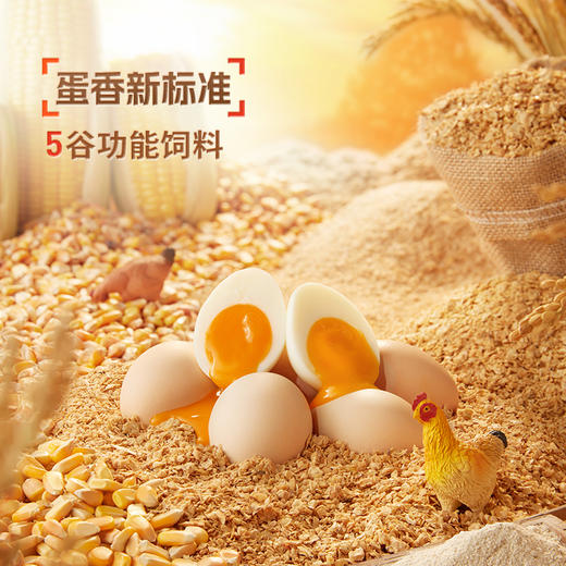 L国虹可生食富硒鸡蛋 30枚 商品图5