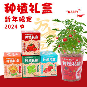 【开学礼~亲手种植属于自己的盆栽】植物盲盒diy 儿童盆栽 活动礼品绿植 幼儿园小学生开学礼物 新年礼物小学生-QQ