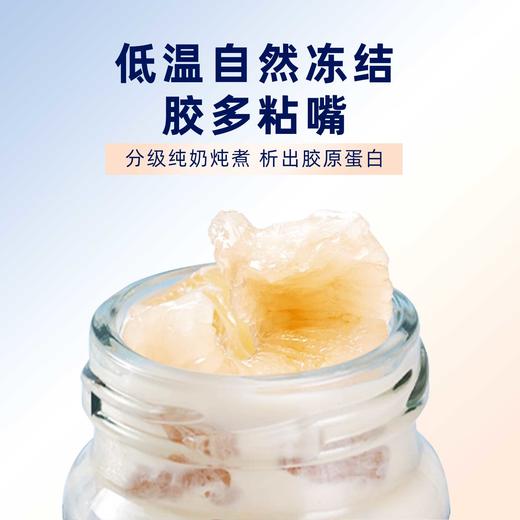 【升级版】开盖即食，鲜炖燕窝牛乳花胶 商品图5