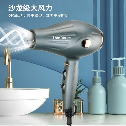 永日负离子AC专业电吹风YR-8990 商品图2