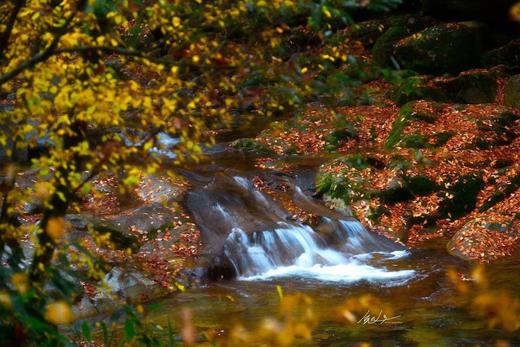 10.24确定出发【秋摄秦巴】红叶大道•光雾山•龙头山•黎坪红叶9天 商品图1