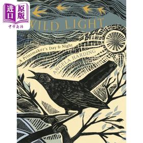 【中商原版】狂野之光 版画家的昼与夜 英文原版 Wild Light A printmaker s day and night Angela Harding