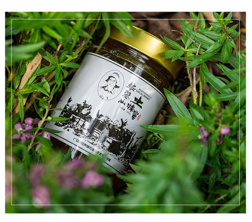 包德安/BDA 华蓥山土蜂蜜(500克） 商品图1