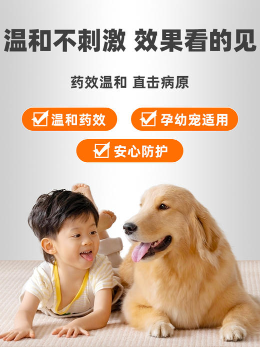 普安特维利克狗狗拉肚子腹泻拉稀呕吐宠物便血止泻药肠胃调理碱式碳酸铋片 商品图3