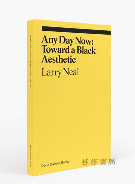 Any Day Now: Toward a Black Aesthetic(ekphrasis) / 现在随时：走向黑人美学 商品图1