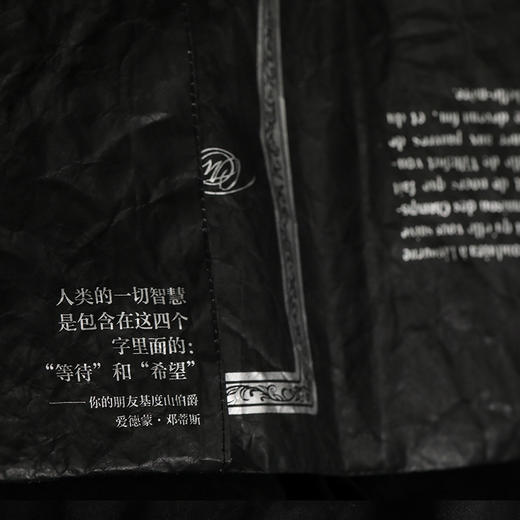 【人文之宝】基督山伯爵双面杜邦纸书衣 商品图5