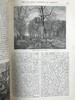 1880年 斯克里布纳月刊 数百幅插图 真皮精装16开 商品缩略图6
