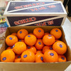 澳洲柑桔（礼盒装） 商品缩略图0