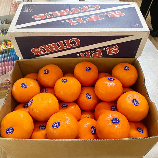 澳洲柑桔（礼盒装） 商品图0