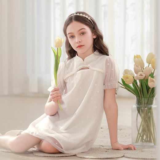 女童连衣裙2024夏季新款儿童新中式国风公主裙小女孩泡泡袖裙子 商品图4