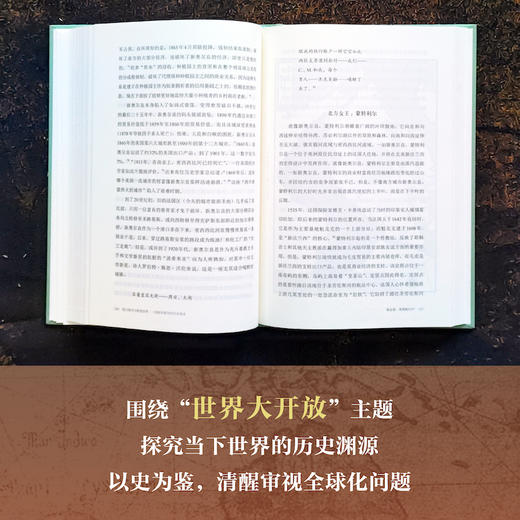 港口城市与解锁世界：一部新的蒸汽时代全球史 商品图3