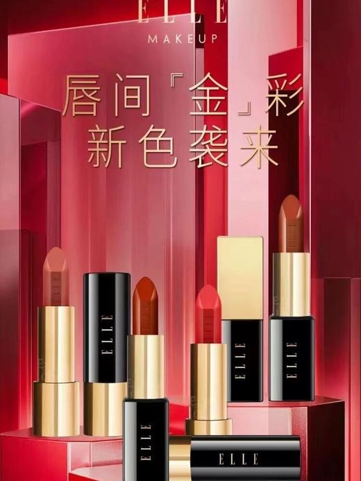 ELLE倾雾迷情唇膏JA02-367神秘大咖 商品图2