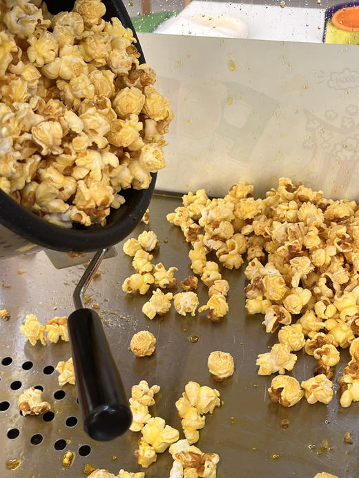 爆裂玉米欧爆沈阳农业大学农学院球形三合一爆米花 欧爆爆米花 商品图6