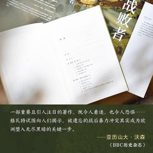 战败者：1917—1923年欧洲的革命与暴力 商品图2