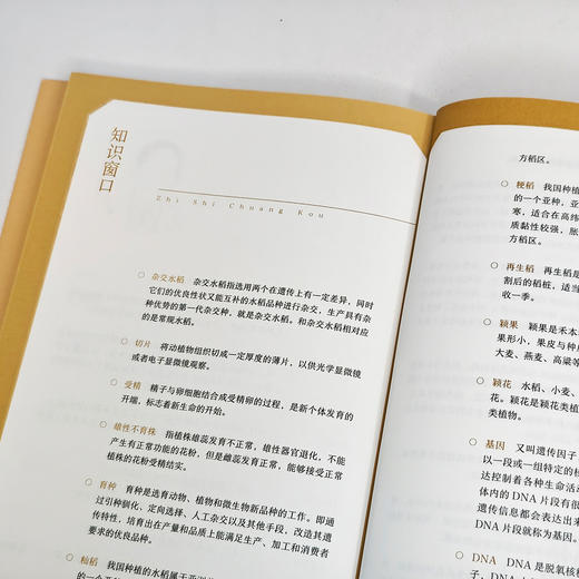 《“共和国勋章”获得者的故事》 （全9册） 商品图12