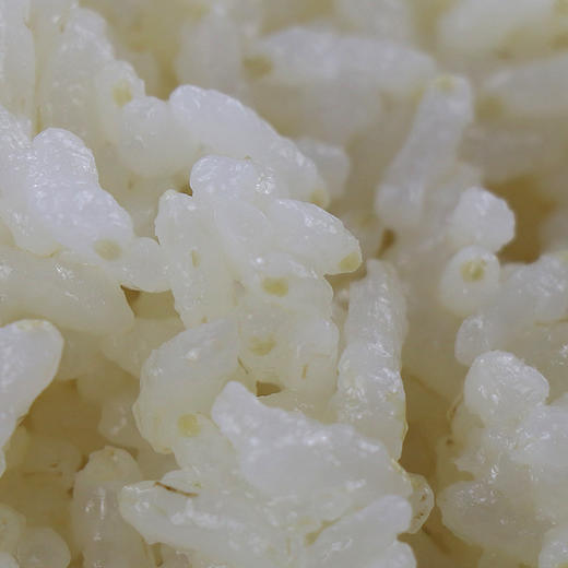 「鲜芽米！软糯香甜」现碾胚芽米2.5kg留胚大米 搭配宝宝辅食营养粥米胚芽米5斤粮油米面 商品图2