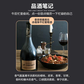 JP.CHENET香奈窖藏美乐赤霞珠葡萄酒 歪脖子法国原瓶进口窖藏系列 750ml 节日礼赠 亲朋聚会 72小时发货 