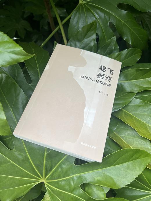 【新书包邮】易飞掰诗——当代诗人佳作解读 商品图1