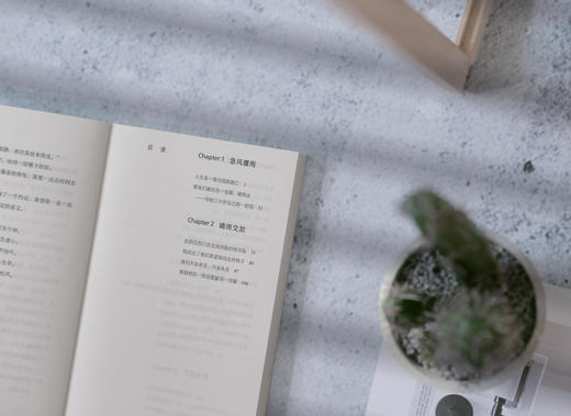 刘同真诚新作《等一切风平浪静》 商品图6