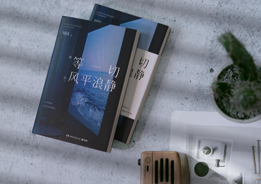 刘同真诚新作《等一切风平浪静》 商品图4