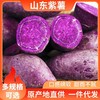 山东临沂现挖当季新鲜当地农家沙地紫罗兰紫薯优选五谷杂粮农产品农家土特产 助农产品 商品缩略图0
