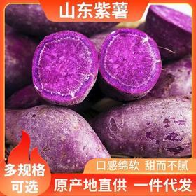 山东临沂现挖当季新鲜当地农家沙地紫罗兰紫薯优选五谷杂粮农产品农家土特产 助农产品