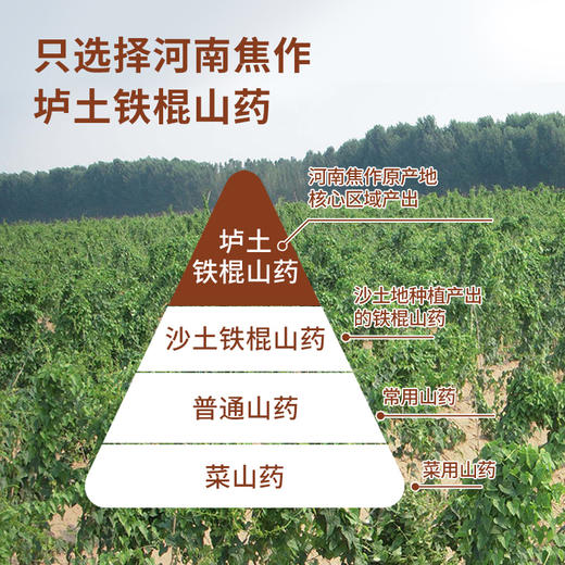 【复配山药粉】怀生堂怀山药粉 古法麸炒自然香 早晚一杯效果更好，1200克（100条装） 商品图2