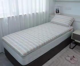 西施蚕娘大豆学生床垫