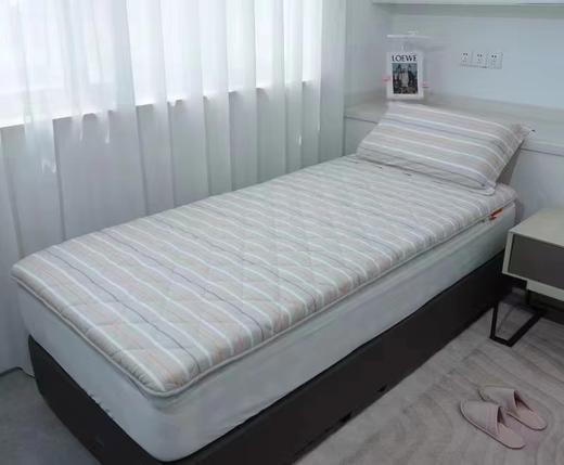 西施蚕娘大豆学生床垫 商品图0