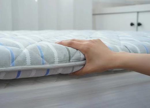 西施蚕娘大豆学生床垫 商品图1