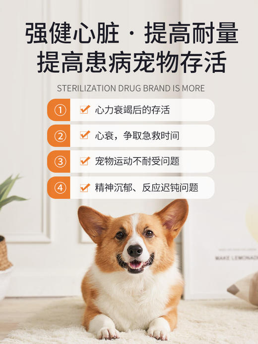 普安特宠物心脏病心脏肥大药宠物心力衰竭心肌炎症梗塞心诺宁马来酸依那普利片 商品图4