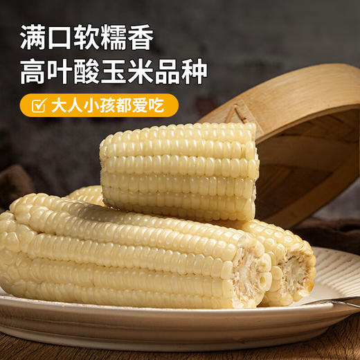 北纬47度白甜糯鲜玉米220克＊6 商品图0