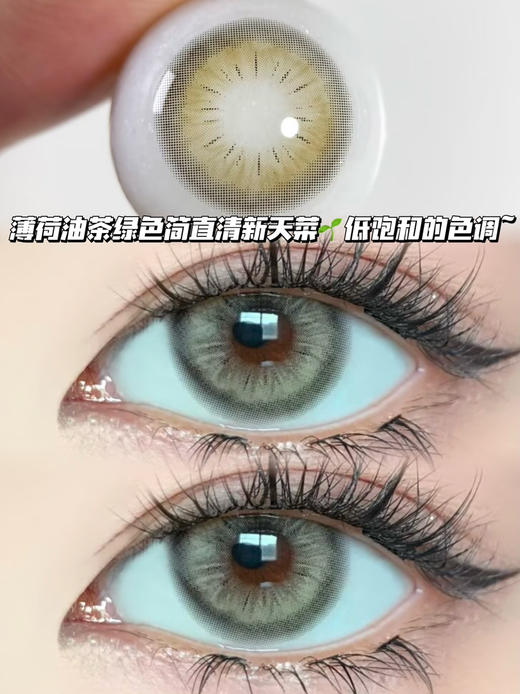 Iris 薄荷茶棕绿「含硅水凝胶」年抛型 商品图0