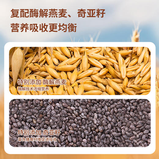 【复配山药粉】怀生堂新一代铁粉山药粉“3秒速溶”，288g每盒（16g每袋），好山药好脾胃！ 商品图3