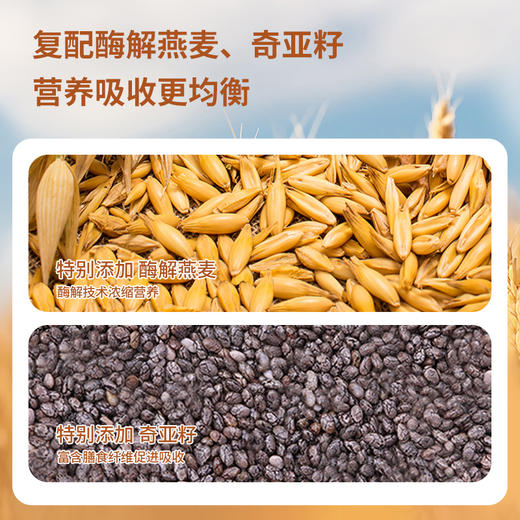 【复配山药粉】家庭特惠装怀山药粉 古法麸炒自然香 早晚一杯效果更好，加量不加价600克（50条装） 商品图2