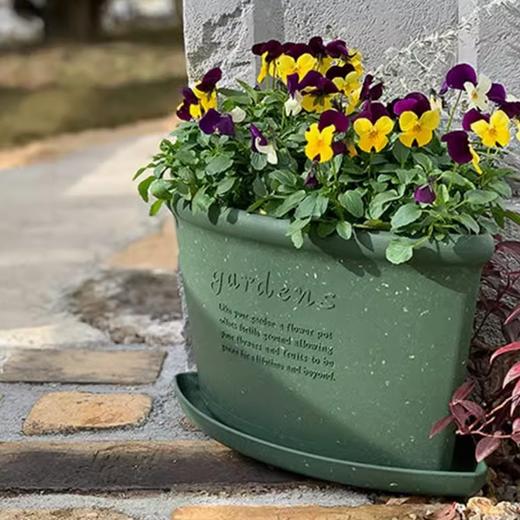 日本进口 Hachiman Gardens转角花盆&托盘（绿色） 商品图4