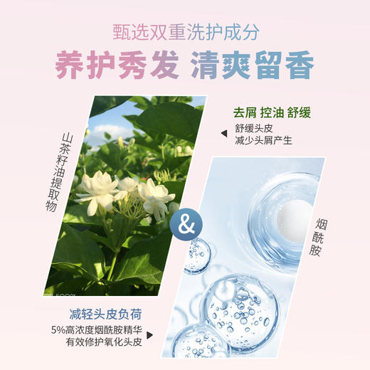 【迭代升级】歌歌兰妮我的巴黎去屑水润洗发水护发素套装改善毛躁头痒（赠随机50ml中小样） 商品图3