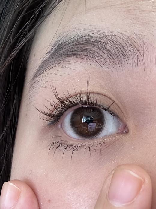 Winni半年抛·Miku Black 糖霜黑莓·14.0mm小着色·韩产2片 商品图3