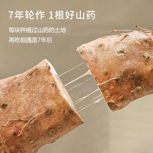 【复配山药粉】纯温县垆土铁棍怀山药粉 古法麸炒自然香 早晚一杯效果更好，30条白色礼盒装360克/100条简装1200克， 商品图3
