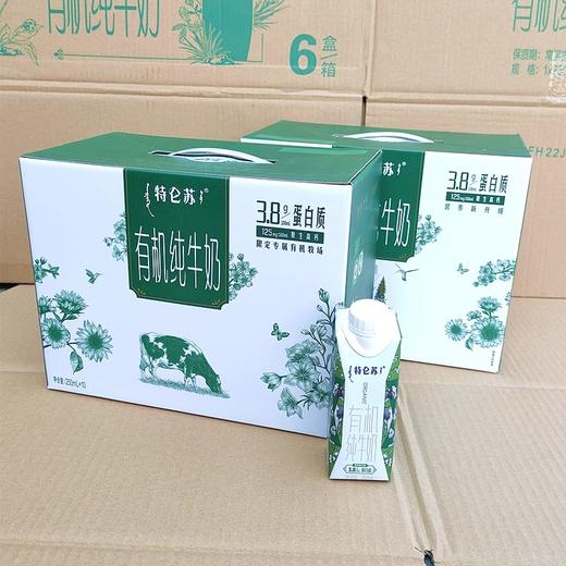 特仑苏有机纯牛奶全脂灭菌乳250ml*10 商品图1