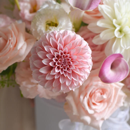 《夏梦妮》奶油桃子马蹄莲花束混搭 商品图8